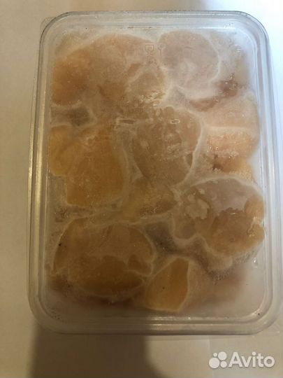 Морской гребешок филе заморозка