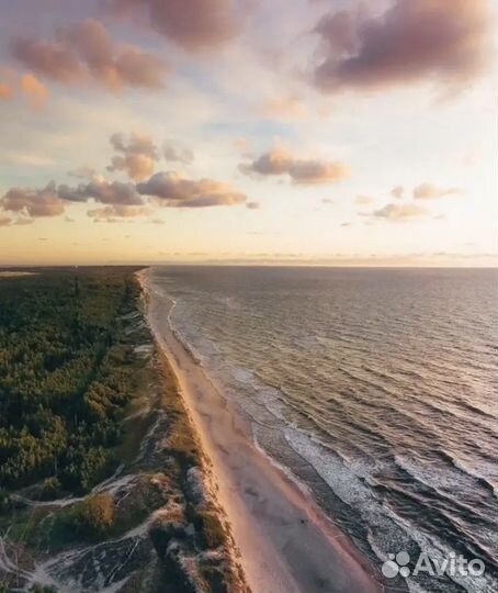 Индивидуальная экскурсия с гидом на Куршскую косу