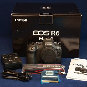 Canon eos r6 mark ii body