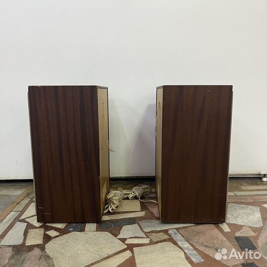 Акустическая система 10AC-318 СССР музыка акустика