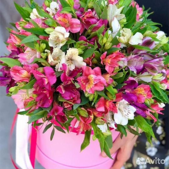 29 альстромерий микс в коробке