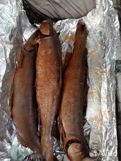 Рыбка горячего копчения