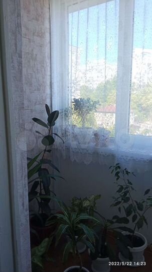 Комната 23,8 м² в 2-к., 7/9 эт.