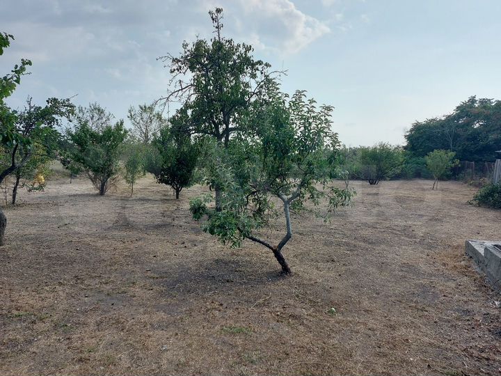 Дом 42,8 м² на участке 12 сот.