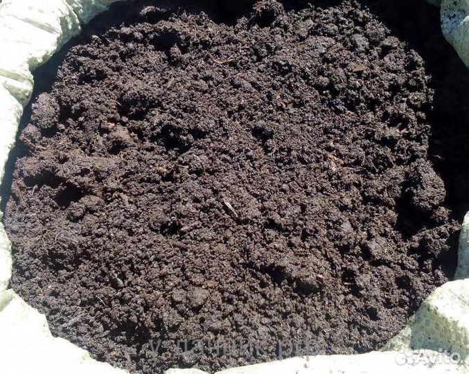 Чернозем ЗИЛ