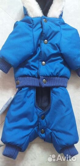 Товары для животных