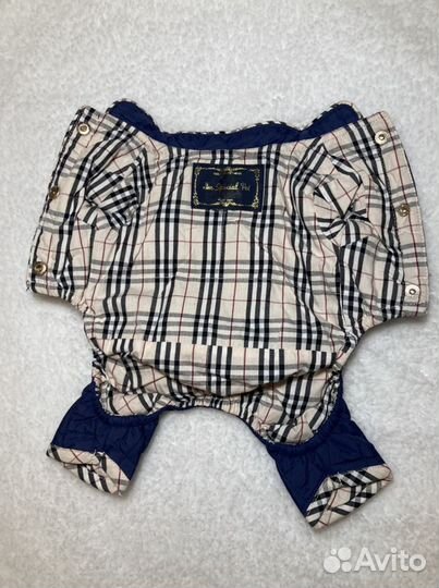 Комбинезон для маленькой собаки