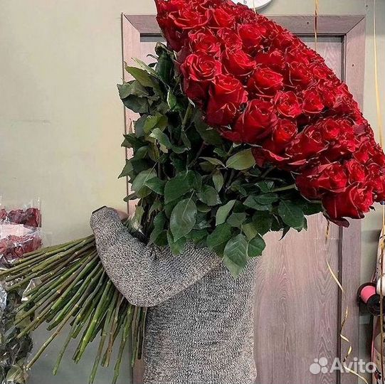 Высокие розы