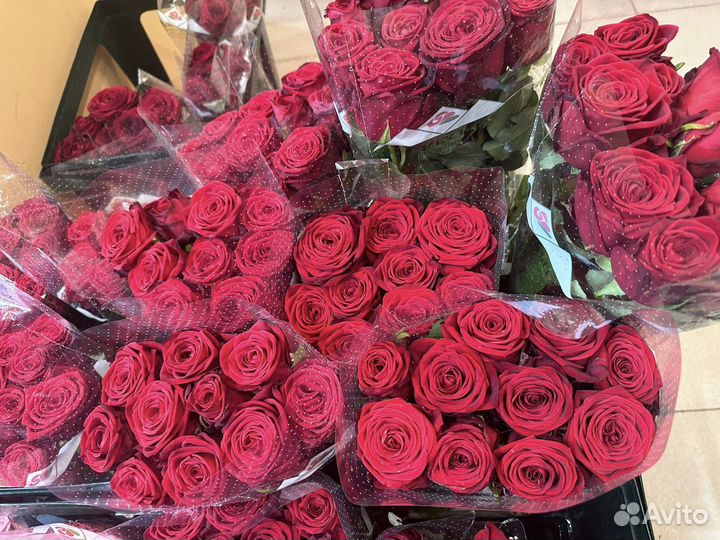 Букет 101 роза