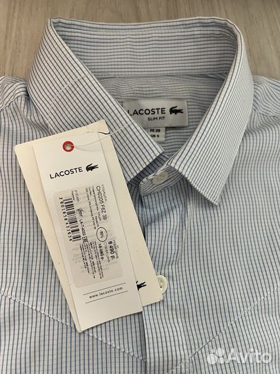 Рубашка мужская Lacoste