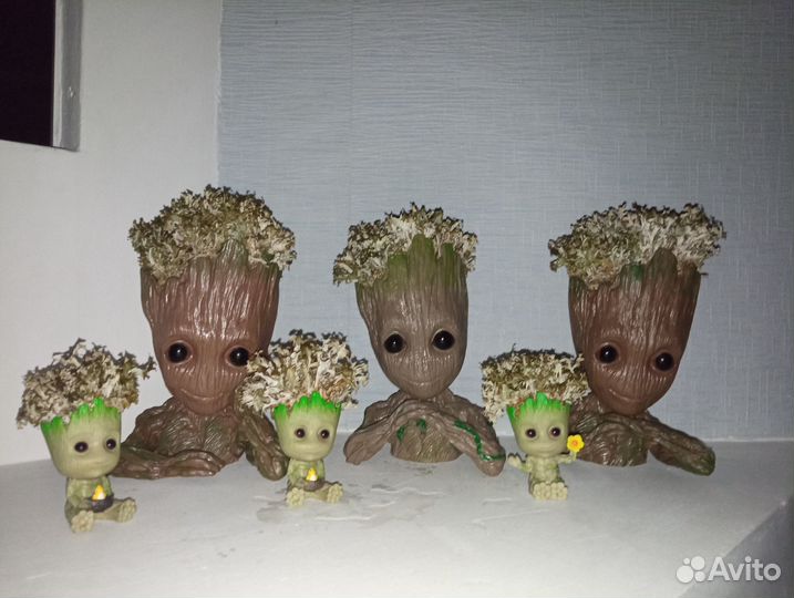 Грут мох исландский цетрария подарок кашпо сувенир