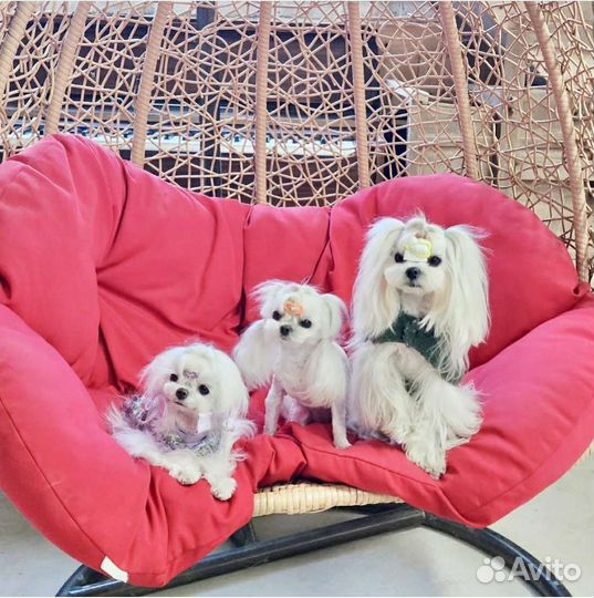 Микро девочки