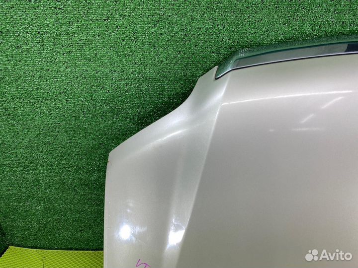 Капот Toyota Noah