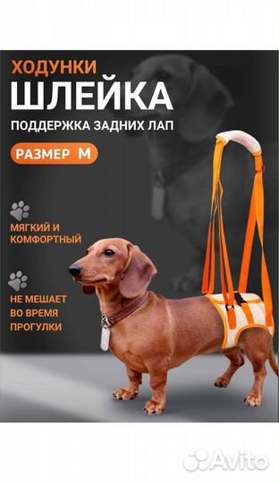 Поддержка ходунки для задних лап