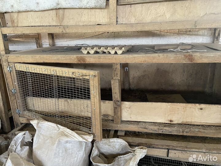 Брудер, клетка для птицы