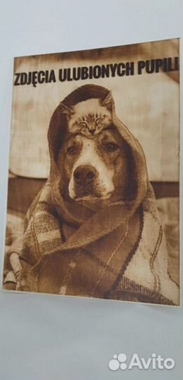 Чпу выжигатель в рассрочку