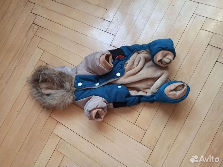 Костюм для собаки petmax S