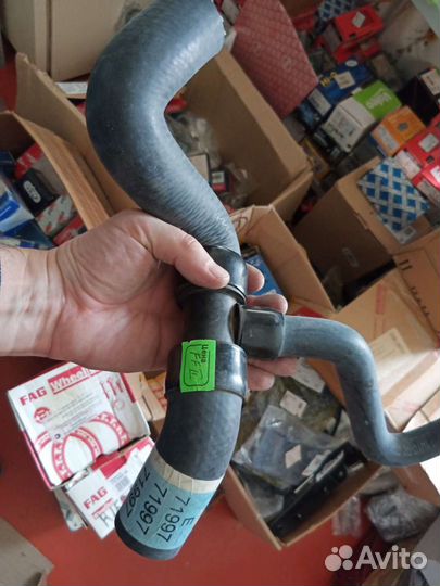 Патрубок радиатора нижний Ford Focus 1 USA, 2.0 AT