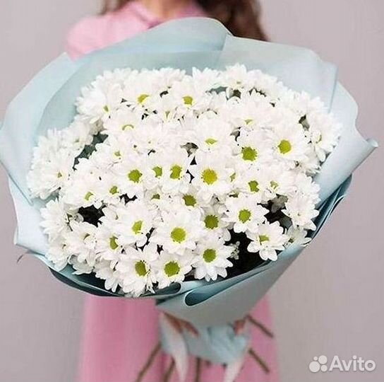 Хризантема Доставка цветов