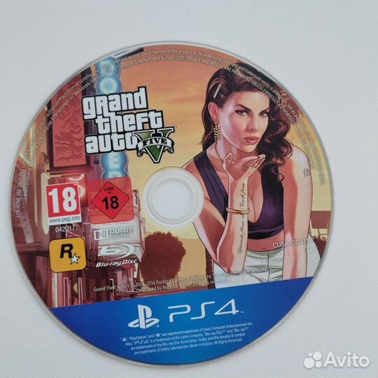 Grand Theft Auto V(GTA V)