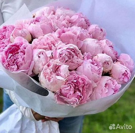 Пионы Букет