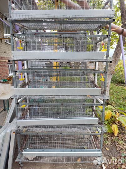 Клетки для перепелов бу