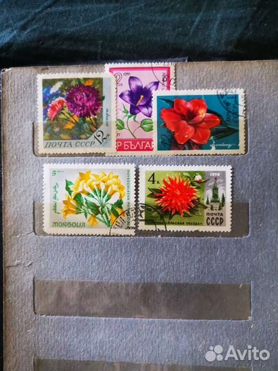 Марки в альбоме