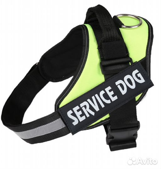 Шлейка для маленькой собаки