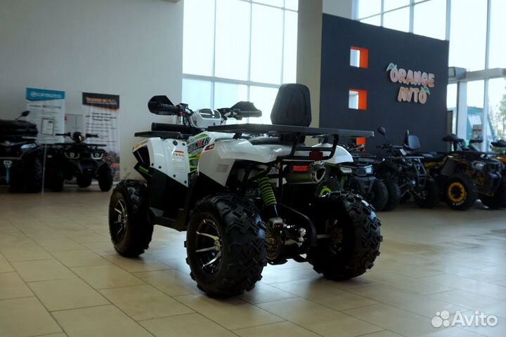 Avantis hunter 200 NEW Premium