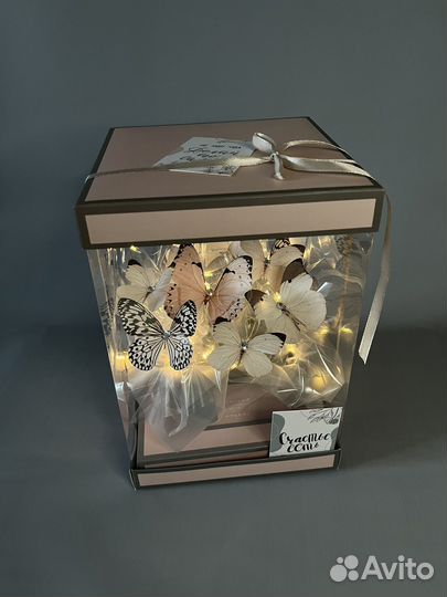 Аквариум с бабочками