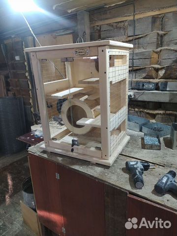 Витрина для шиншилл