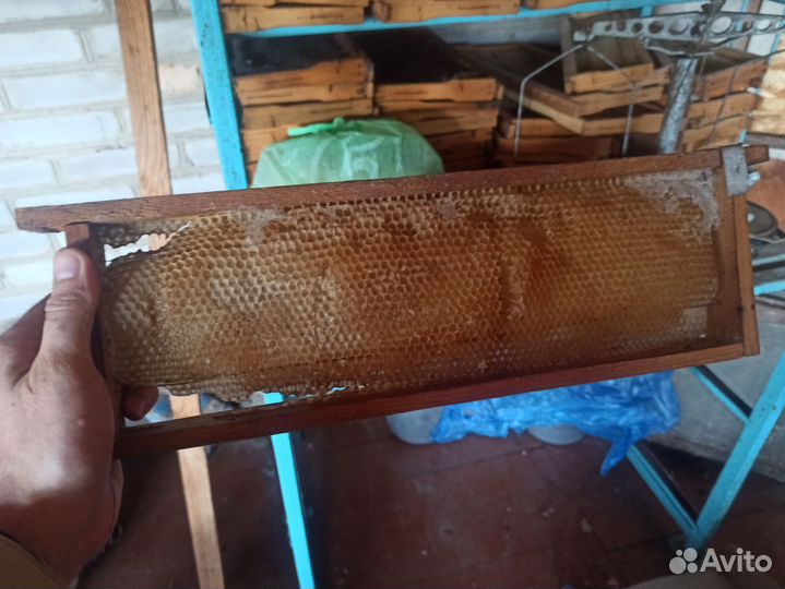 Рамки и сушь для пчел
