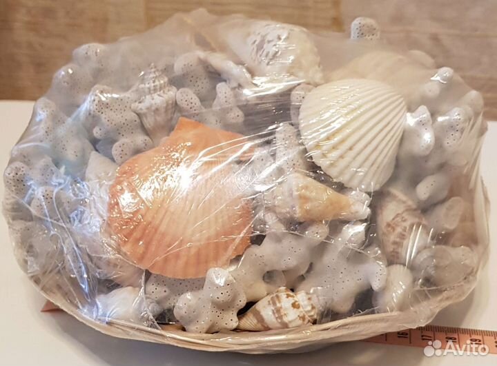 Ракушки и кораллы