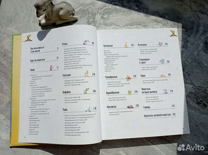 Книга Царство животных 2004