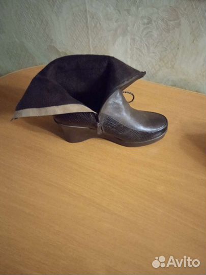 Сапоги осенние женские