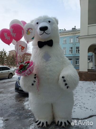 Поздравление от белого мишки 3м, аэромишка