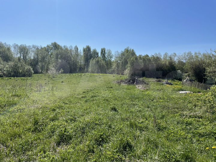 Участок 41,8 сот. (ИЖС)