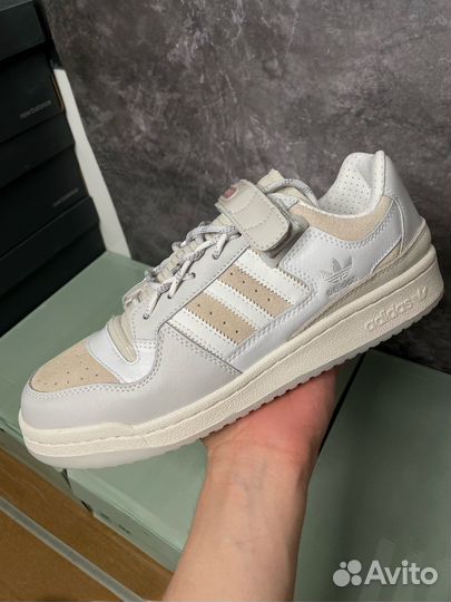 Adidas Forum 84