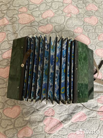 Гармонь малютка