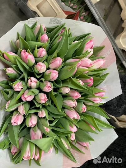Тюльпаны к 8 марта оптом