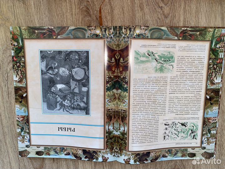 Энциклопедия Альфред Брем 