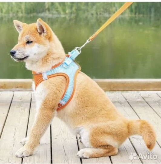 Шлейка для собаки