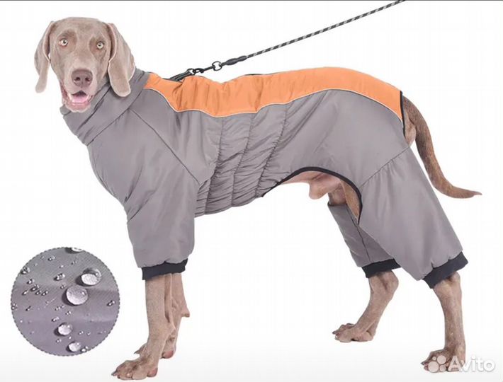 Зимний комбинезон для средней собаки