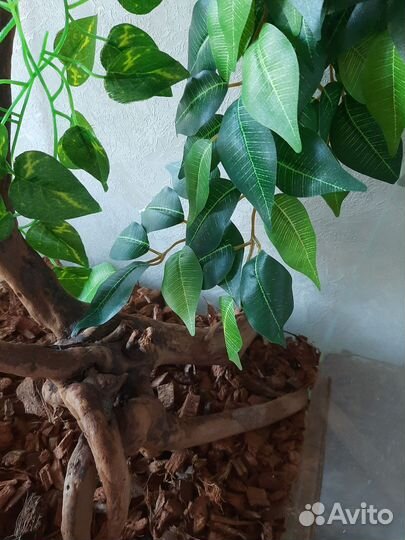 Террариум для рептилий вертикальный