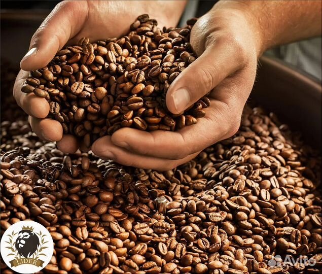 Кофе в зернах арабика, опт