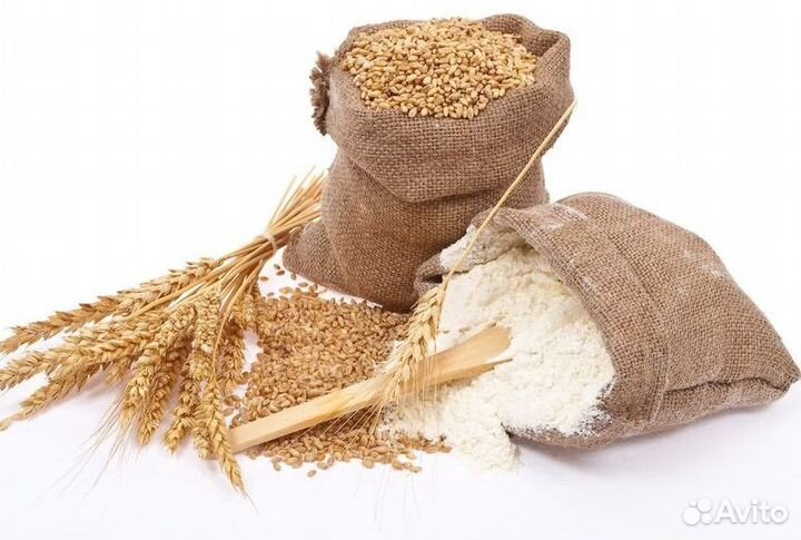Мука пшеничная оптом