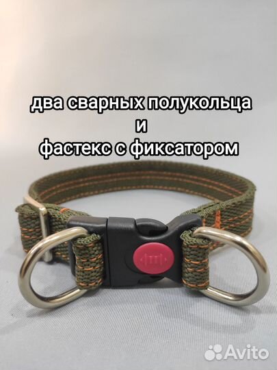 Ошейник для собак от Bax Dog