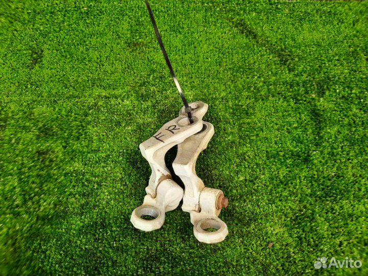 Петли двери передние правые Ford Focus 2 хэтчбек