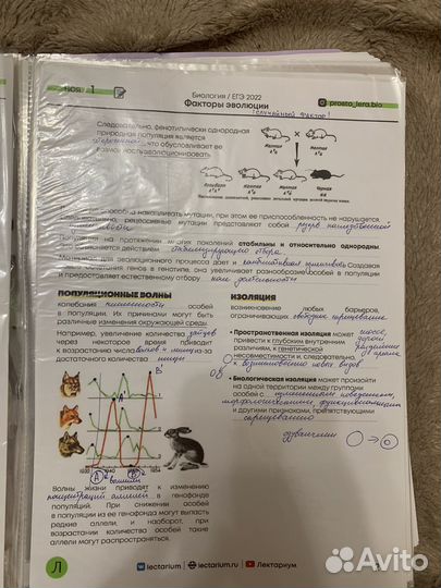 Материалы для подготовки к егэ по биологии