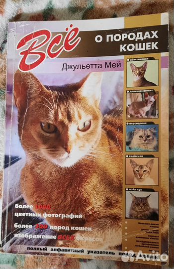 Джульетта Мей Все о породах кошек